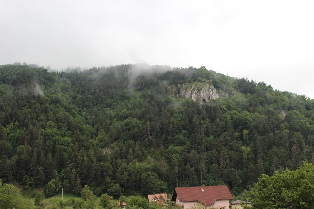 برانْ Pensiunea Eugenia المظهر الخارجي الصورة